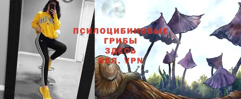 Галлюциногенные грибы MAGIC MUSHROOMS  где продают наркотики  Кукмор 